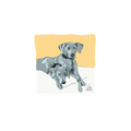 Custom Pet Portrait | Painterly Digital Art from Your Photo: Two gray dogs lying together on a white surface with a soft yellow background, both relaxed and looking forward. Hand-painted style for unique custom pet artwork.