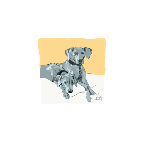 Custom Pet Portrait | Painterly Digital Art from Your Photo: Two gray dogs lying together on a white surface with a soft yellow background, both relaxed and looking forward. Hand-painted style for unique custom pet artwork.